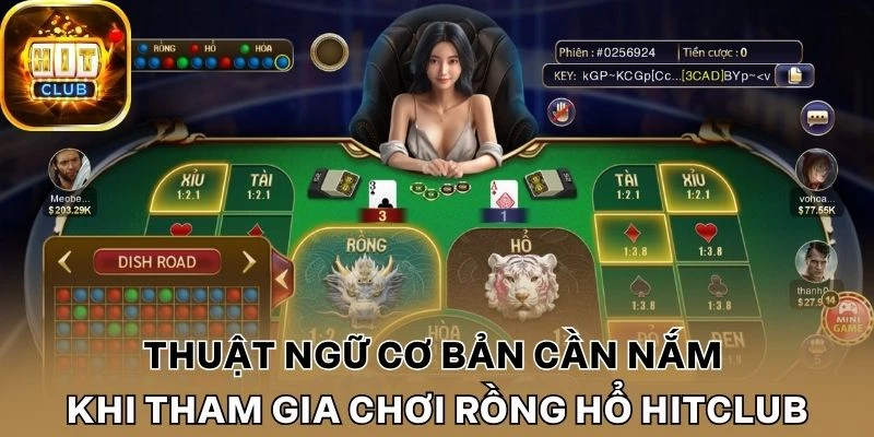 Thuật ngữ cơ bản cần nắm khi tham gia chơi Rồng Hổ Hitclub
